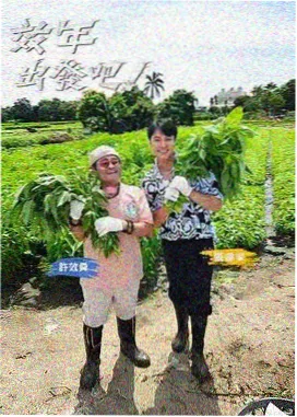 御姐动漫制作幕后:录音棚内的剧本与呼吸标记表